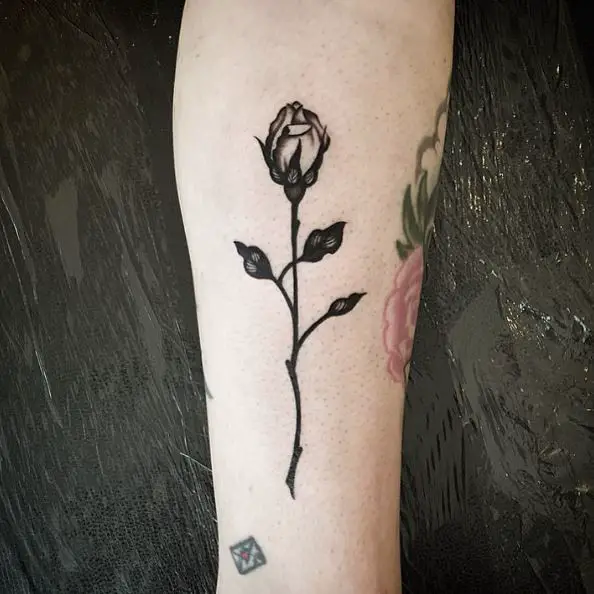 Black Shaded Rose Bud with Branch and Leaves Tattoo