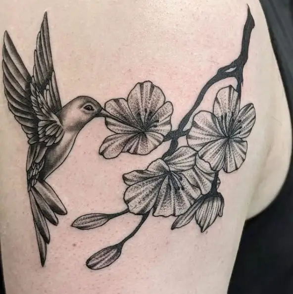 Black & Grey Hummingbird Tattoo