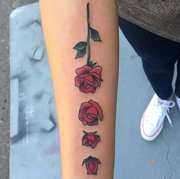 Red Rose Bud to Flower Cycle Forearm Tattoo