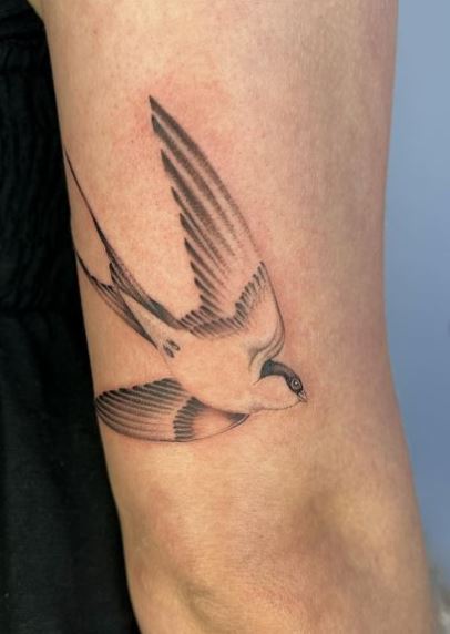 Grey Realistic Swallow Above Elbow Tattoo