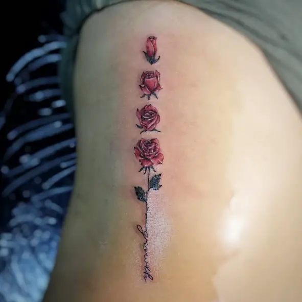 Red Rose Bud to Flower Cycle Ribs Tattoo