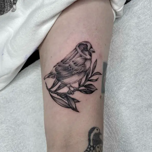 Shaded Sparrow on Branch Arm Tattoo