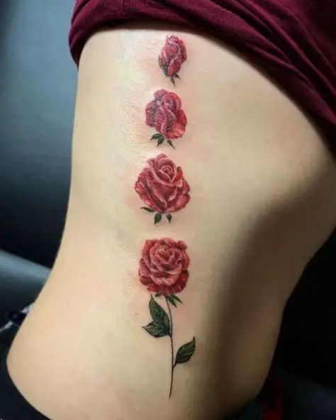 Red Rose Bud to Flower Cycle Across Belly and Ribs Tattoo