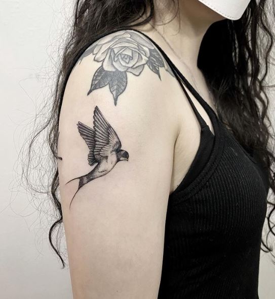 Rose Flower above Black and Grey Realistic Swallow Tattoo