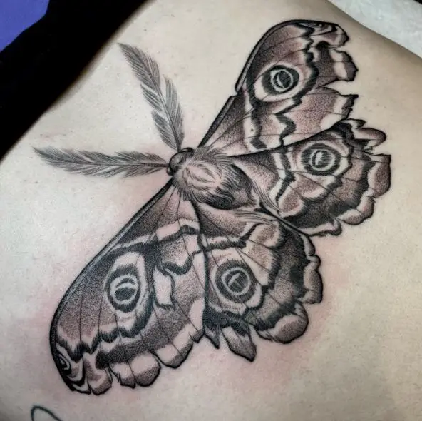 Realistic Black and Grey Moth Back Tattoo