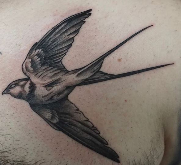 Black and Grey Realistic Swallow Chest Tattoo