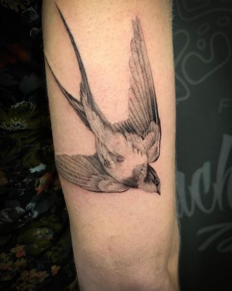 Grey Realistic Swallow Arm Tattoo