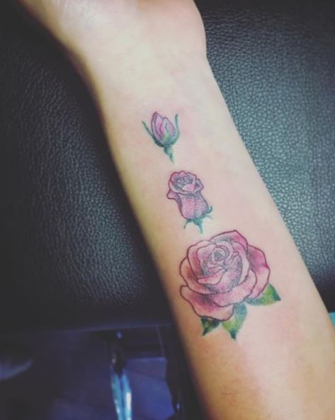 Evolution Cycle of Red Rose Forearm Tattoo