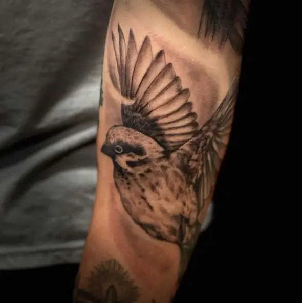 Realistic Sparrow Arm Tattoo