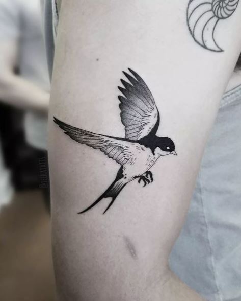 Black and White Realistic Swallow with Outstretched Claws Tattoo