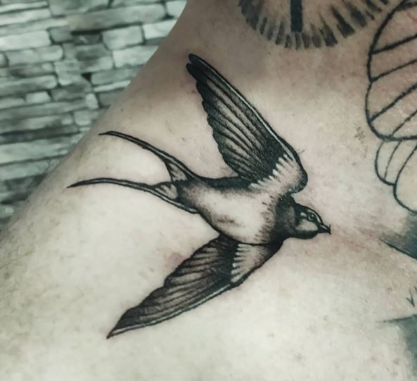 Black and Grey Spread Wings Realistic Swallow Tattoo