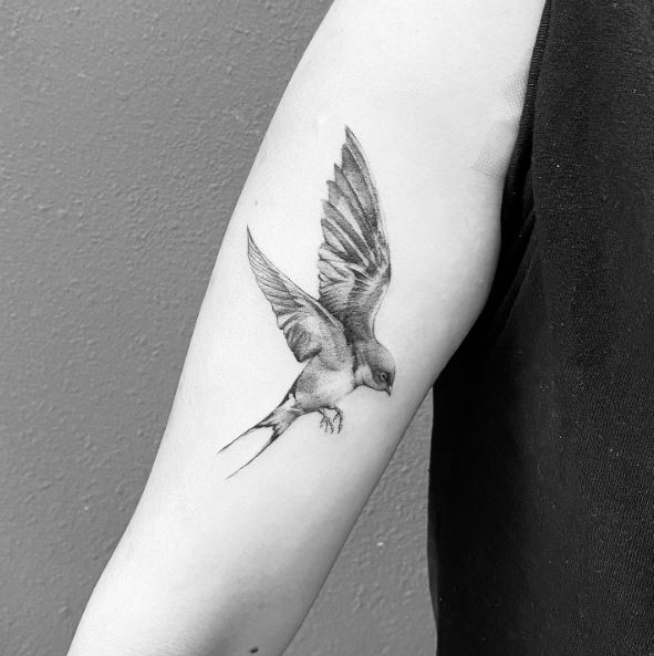 Grey Shaded Swallow with Stretched Claws Tattoo