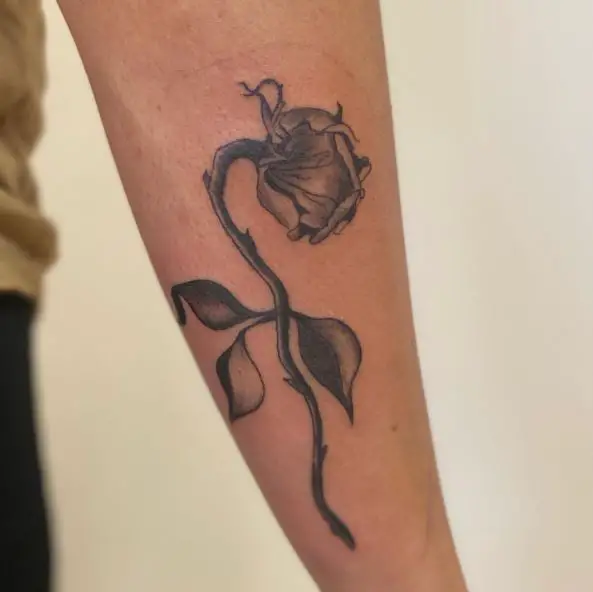 Shaded Dead Rose Arm Tattoo