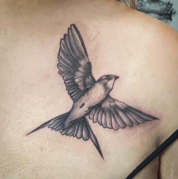 Black and Grey Spread Wings and Tail Swallow Brest Tattoo