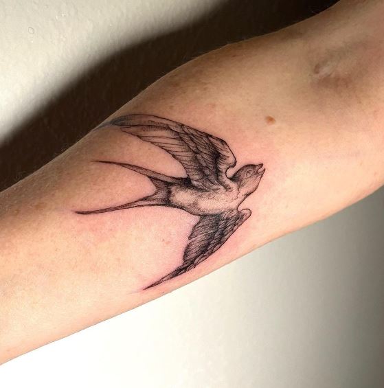 Grey Head Up Swallow Forearm Tattoo