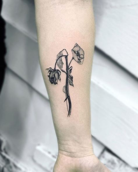 Dead Rose Black Inked Tattoo