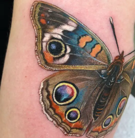 Realistic Buckeye Butterfly Tattoo