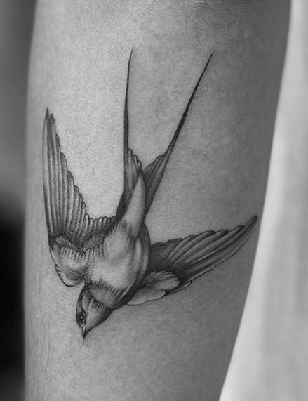 Black and Grey Swallow with Realistic Details Tattoo