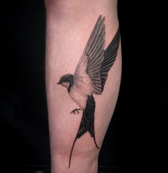 Black and Grey Swallow with Stretched Claws Tattoo