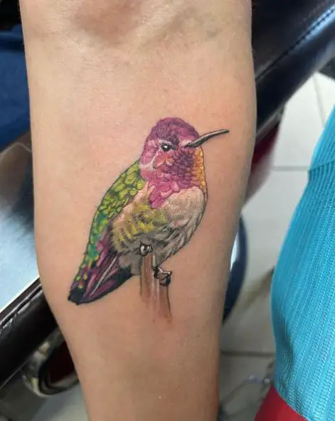 Pink Head Hummingbird Tattoo