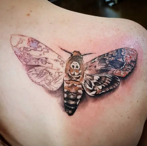 Death-Head Moth Shoulder Tattoo