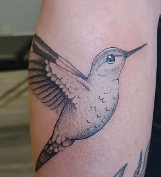 Detailed Hummingbird Tattoo