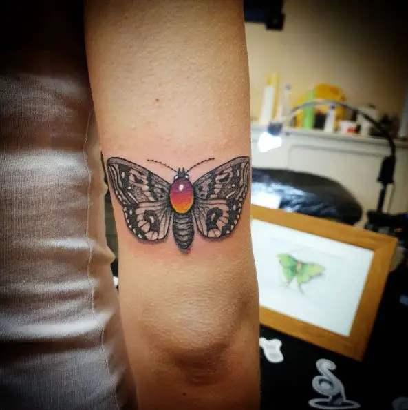 Colored Moth Elbow Tattoo