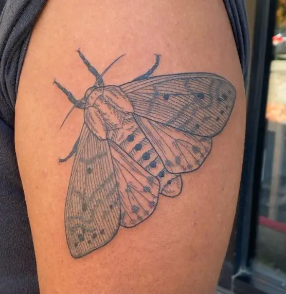 Grey Tiger Moth Arm Tattoo