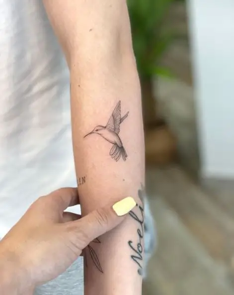 Linework Hummingbird Tattoo on Arm