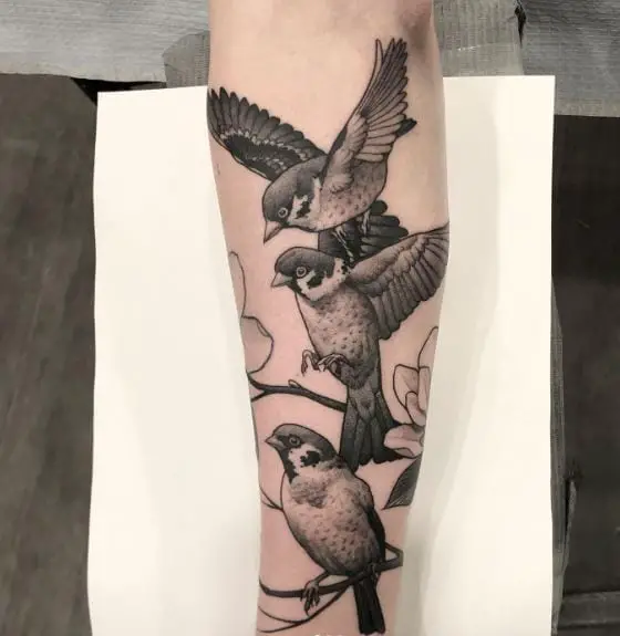 Sparrows on Branches Forearm Tattoo