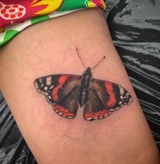 Grey and Red Admiral Butterfly Tattoo