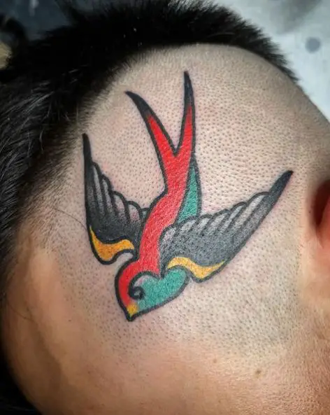 Colorful Swallow Head Tatoo