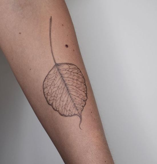 Grey Bodhi Leaf Forearm Tattoo