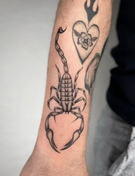 Beautiful Forearm Scorpion Tattoo