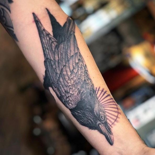 Black and Grey Feathered Raven Tattoo