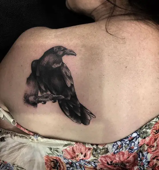 Black and Grey Raven on a Branch Tattoo
