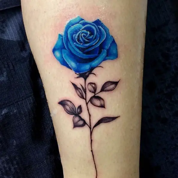 Blue Rose with Black Stem and Leaves