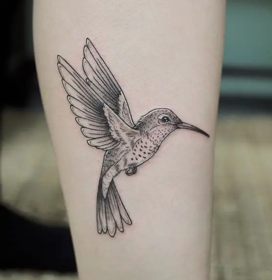 Humming Bird Illustration Tattoo Piece