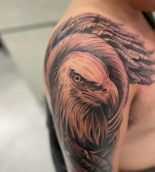 Pencil Sketched Eagle Arm Tattoo