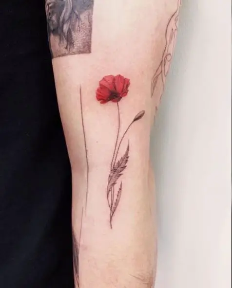 Red Poppy with Black Leaves Tattoo