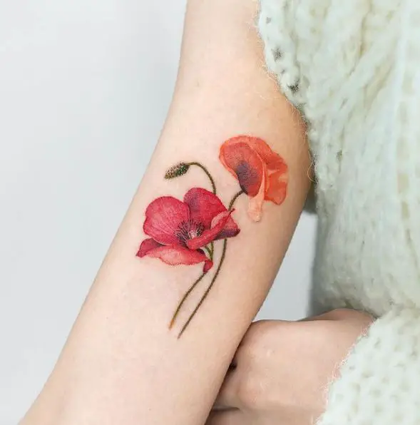 Red and Orange Poppy Flower Tattoo