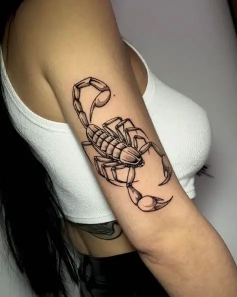 Scorpio tattoo  Tattoo Designs for Women  Scorpio tattoo