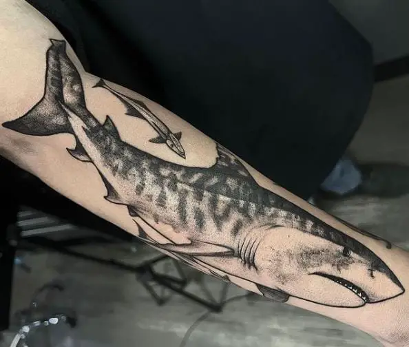 A Tiger Shark and Remoras Tattoo