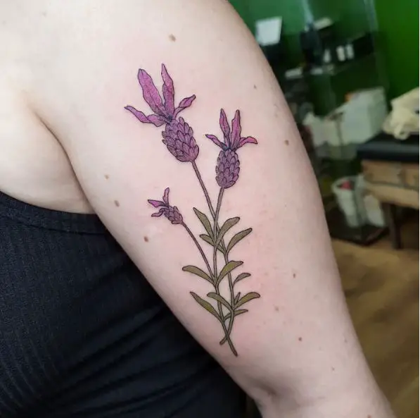 Big & Small Lavender Flowers Arm Tattoo
