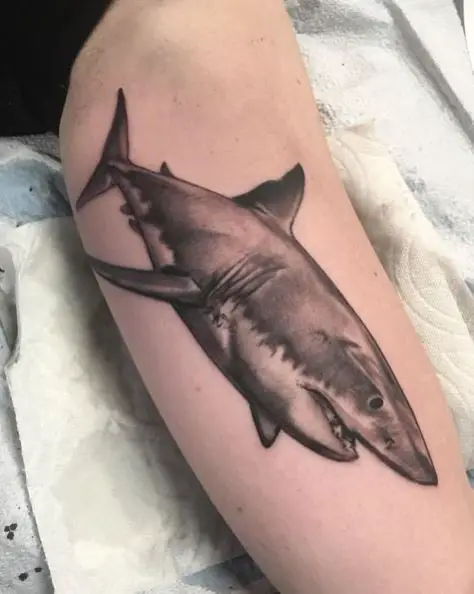 Black and White Shark Attack Forearm Tattoo