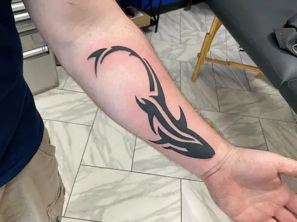 Dark Bold Ink Shark Tattoo