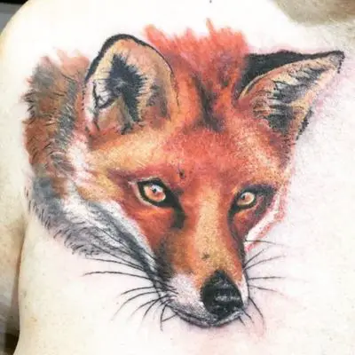 The Fox Tattoo Meaning And 55+ Beautiful Designs To Choose From