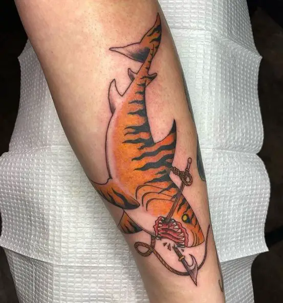 Gnarly Tiger Shark Tattoo