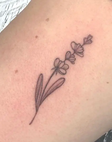 Grayscale Tiny Delicate Lavender Tattoo