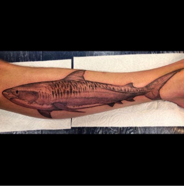 Greyscale Tiger Shark Tattoo